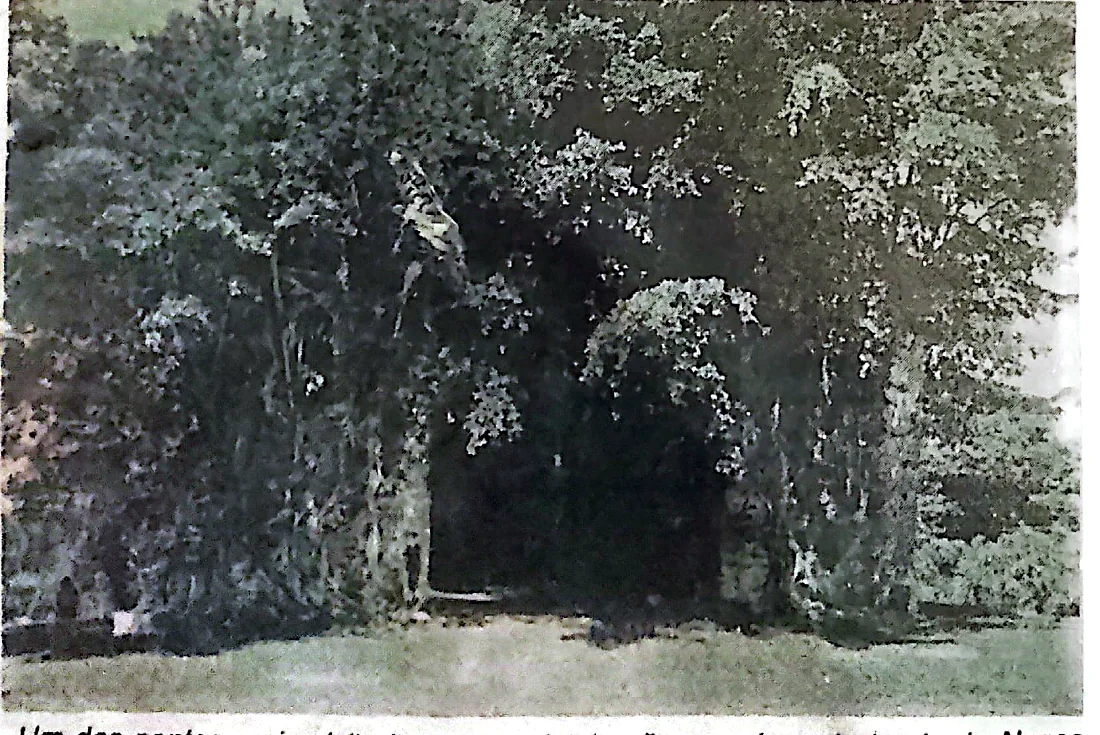 Fotografia histórica das ruínas da Igreja de Nosso Senhor da Vera Cruz publicada na revista Vera Cruz 37 anos