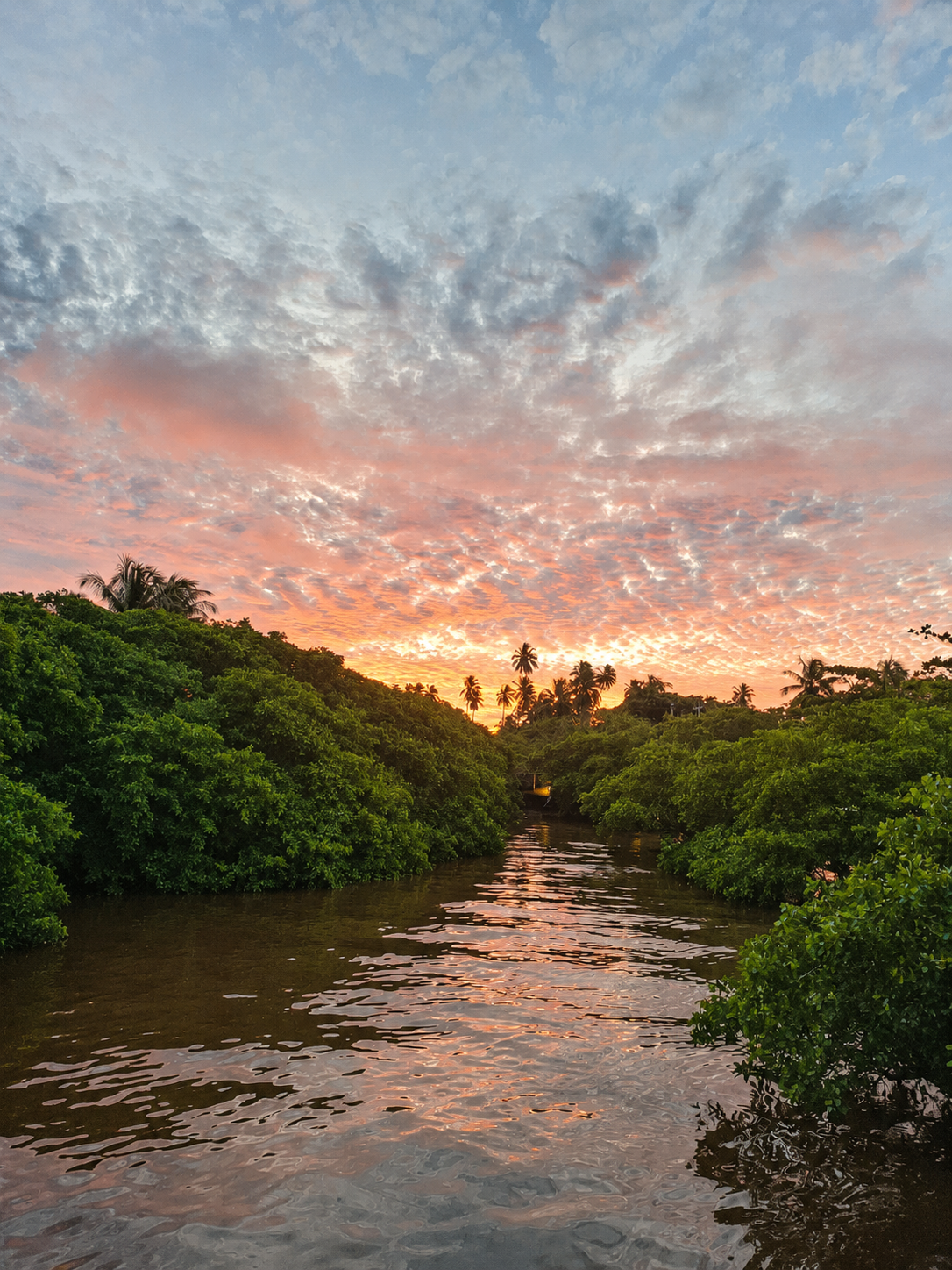 Ponte sobre as águas ao entardecer
