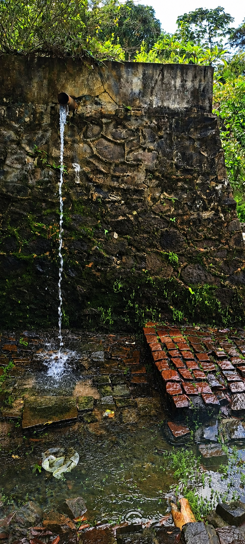 Fonte do Tereré, com água saindo de uma bica em estrutura de pedra cercada pela vegetação