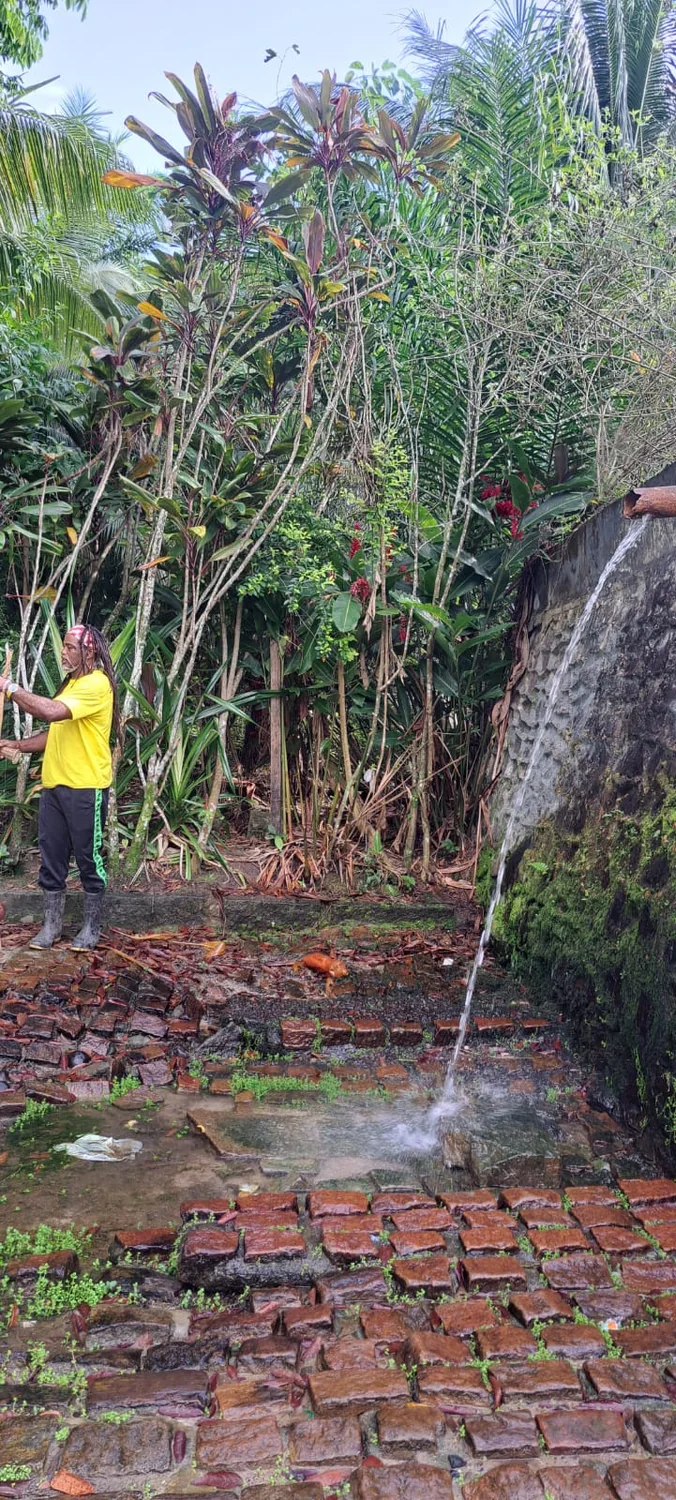 Fonte do Tereré cercada por vegetação